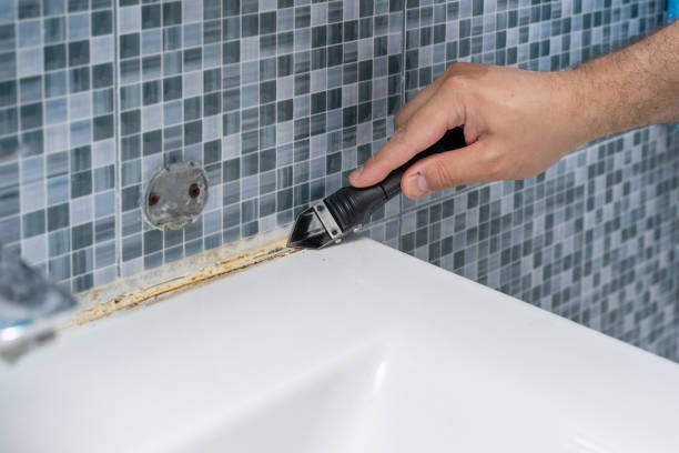 Best Attic Mold Removal  in Weigelstown, PA